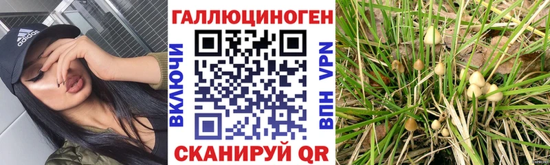 Галлюциногенные грибы прущие грибы Камышлов