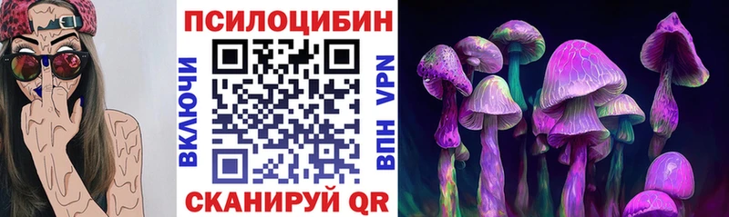 Псилоцибиновые грибы мухоморы  darknet наркотические препараты  Камышлов  omg как войти 