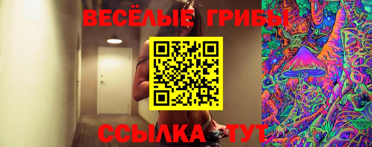 Камышлов  Галлюциногенные грибы прущие грибы  Вход с VPN 